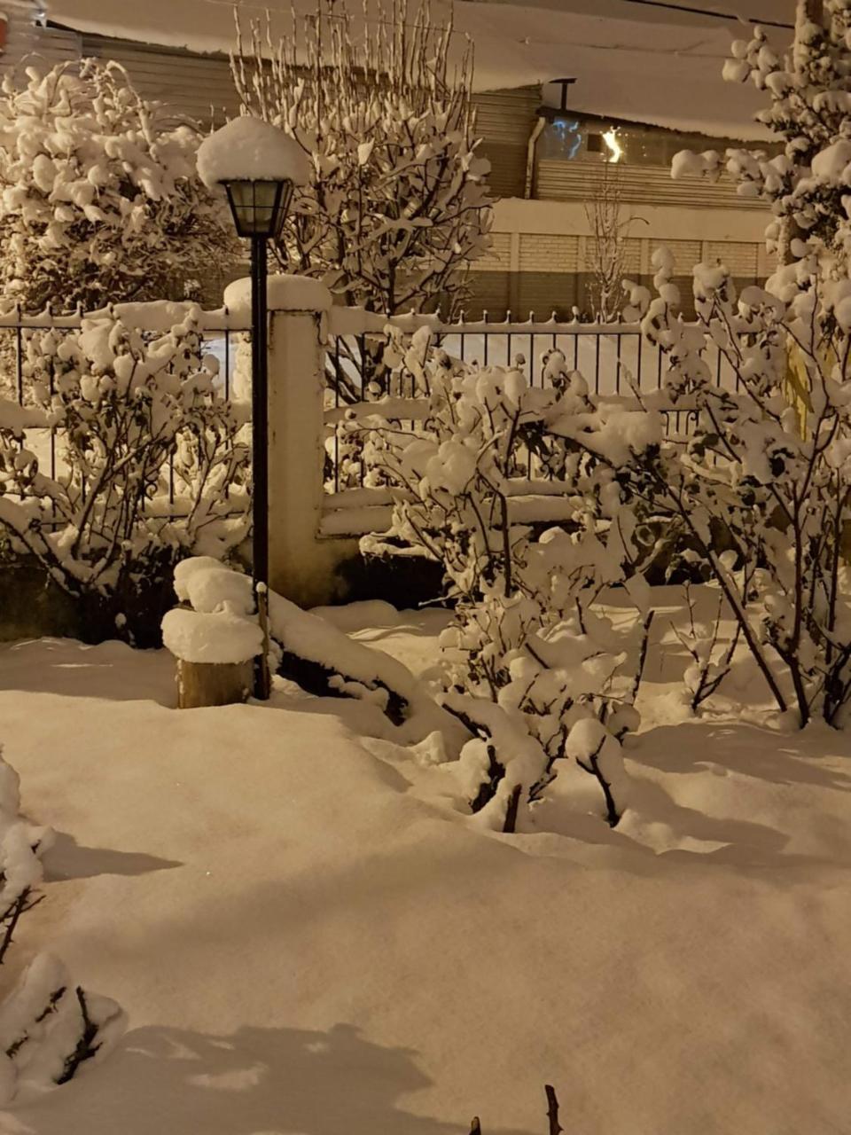 Citizen Kane Lodge - Hospedaje Gourmet San Carlos de Bariloche Dış mekan fotoğraf