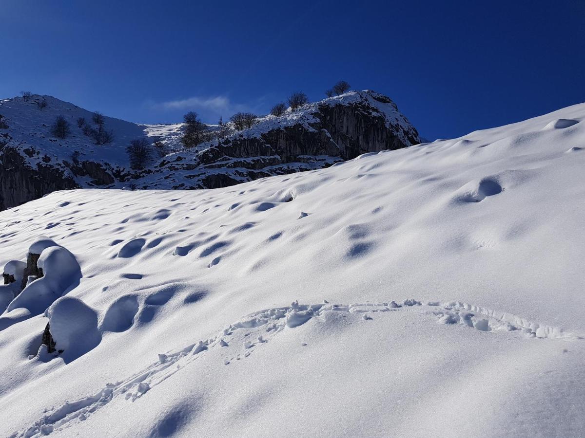 Citizen Kane Lodge - Hospedaje Gourmet San Carlos de Bariloche Dış mekan fotoğraf